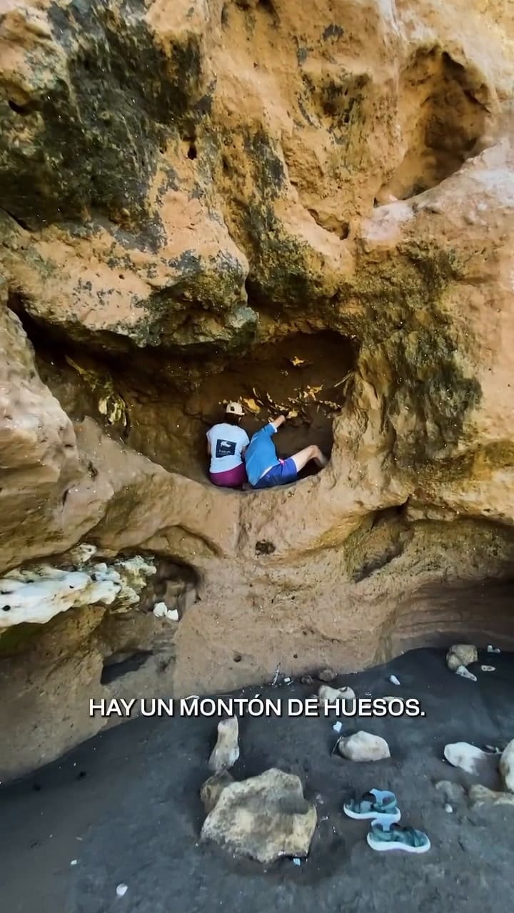 Encontraron huesos