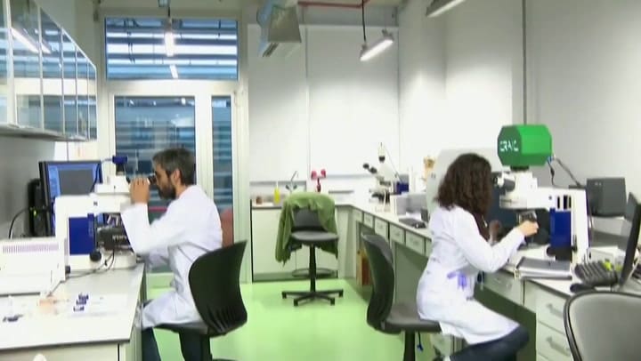 Vidal: “La mayoría de la Argentina es la que no convoca a ninguna marcha”