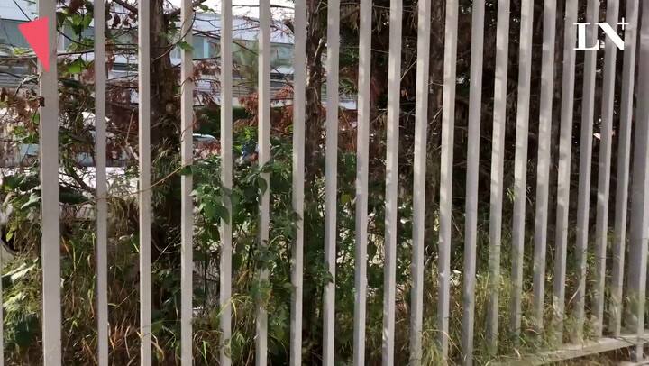 Andrew Soto, el vecino del plantel de FC Barcelona