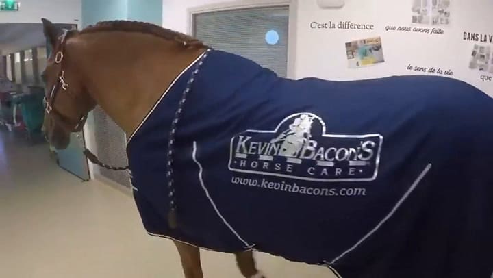 El doctor Peyo instintivamente se da cuenta qué pacientes necesitan ayuda