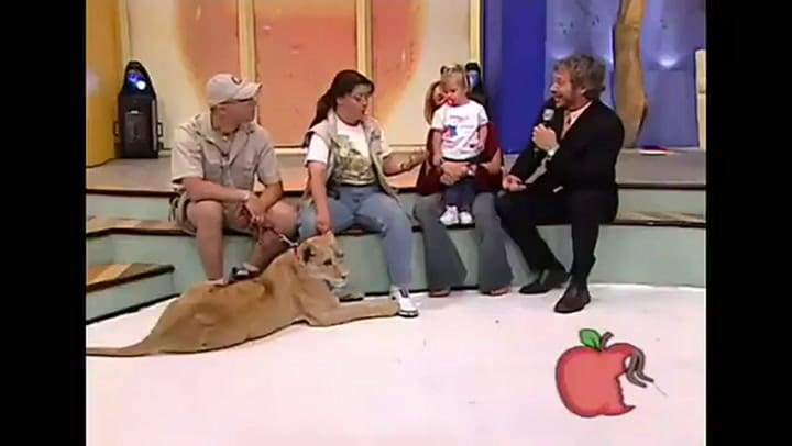 El día en que la niña fue atacada por un león en una transmisión de TV