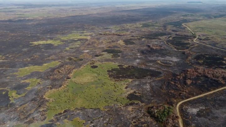 Así quedaron parte de los esteros del Iberá, tras el paso del fuego