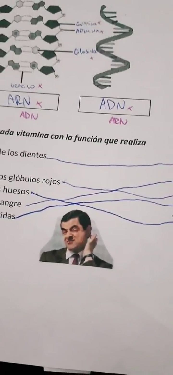 Una docente calificó a los estudiantes con memes