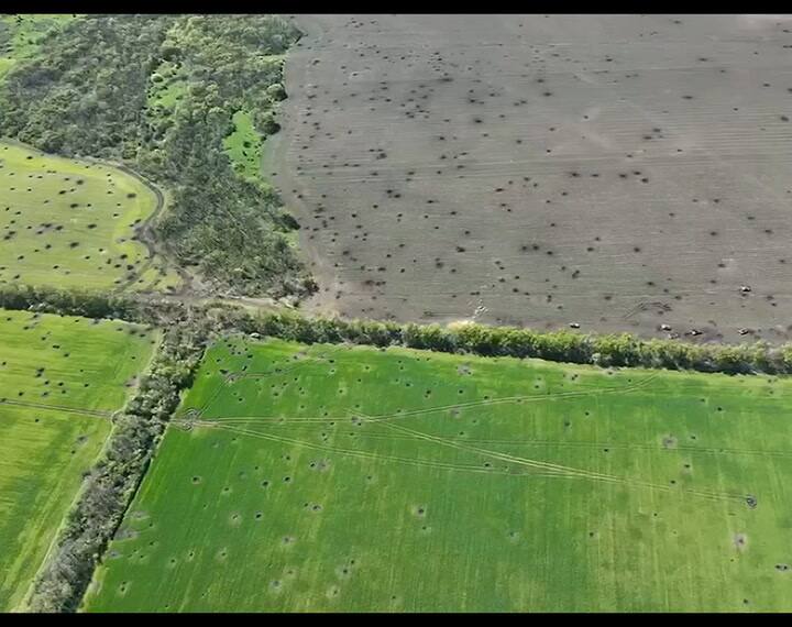 Así aniquiló el Ejército ucraniano una columna de tanques y vehículos de infantería rusos