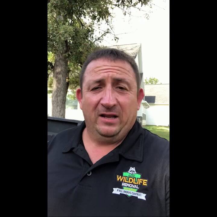 El especialista en caimanes y reptiles de Texas