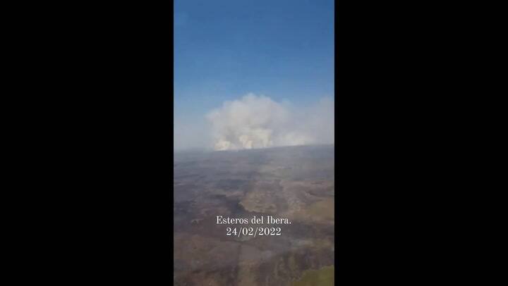 Juana Viale desde Corrientes