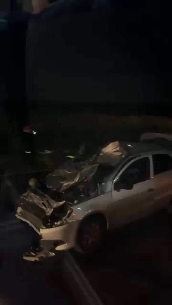 Un búfalo se cruzó en una ruta en Entre Ríos y chocó contra un auto