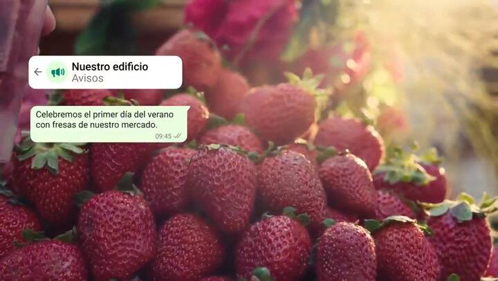 Las comunidades son una novedad en WhatsApp, y apuntan a gestionar múltiples grupos relacionados