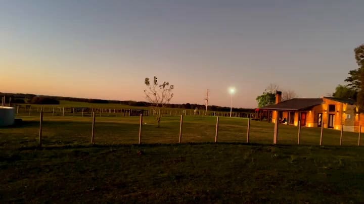 Saveinsta.app - 3135407251279105214