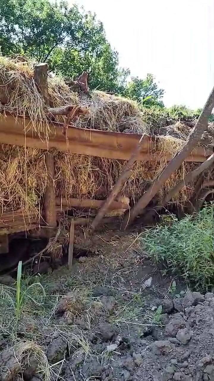 Caminos rurales de Baradero