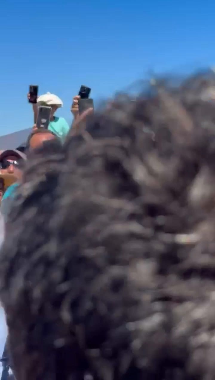 Javier Milei mientras recorría la muestra