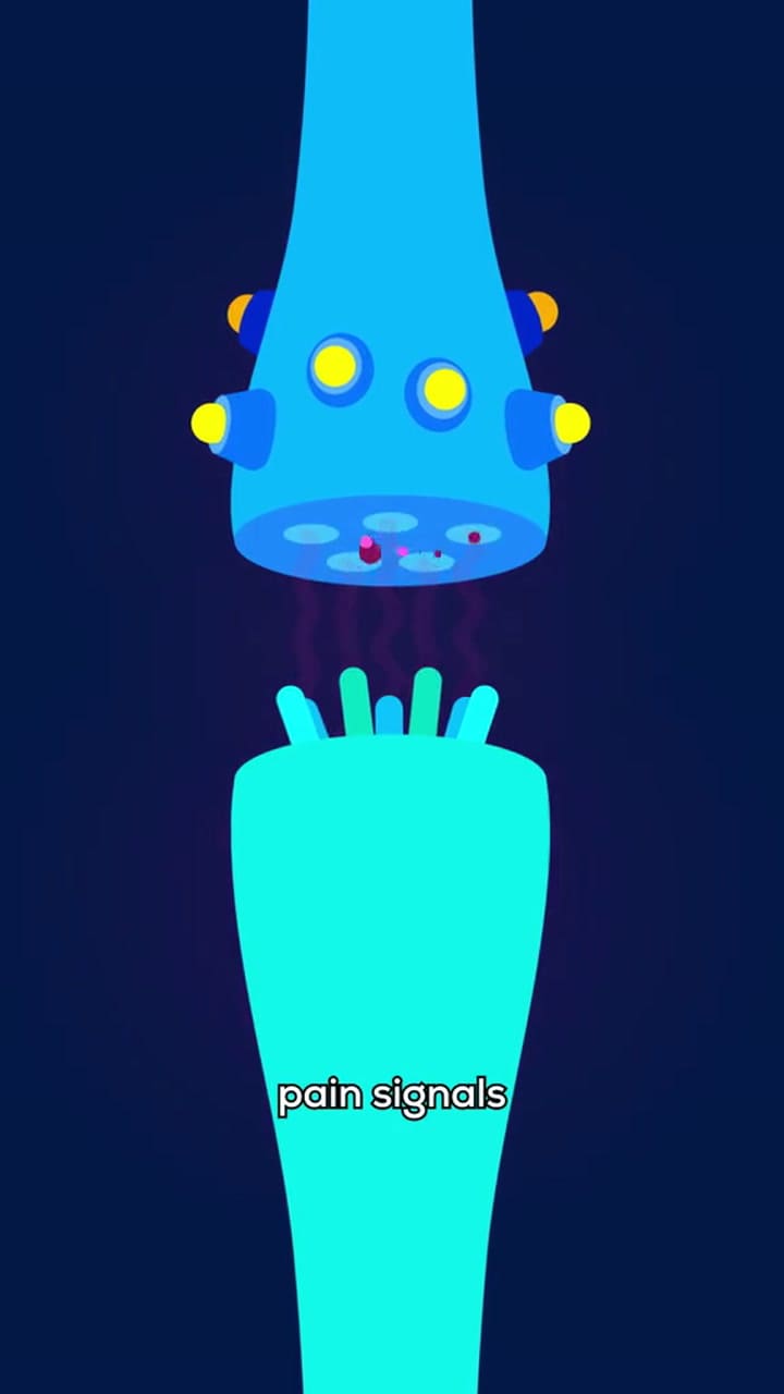 Ssstik.io 1732803061126