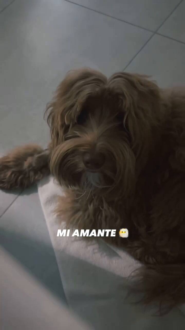 El posteo de Laurita Fernández que aumentó los rumores de infidelidad