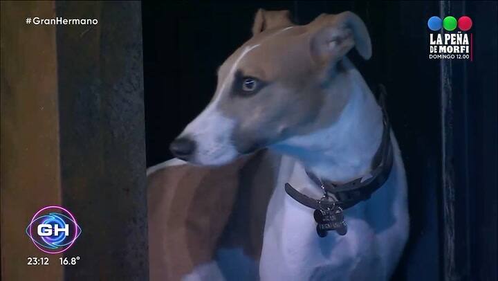 Arturo se asusto ante su llegada a la casa de Gran Hermano