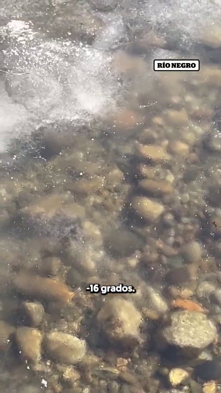 Se congeló la superficie de un río en Neuquén y decenas de truchas nadaron por debajo