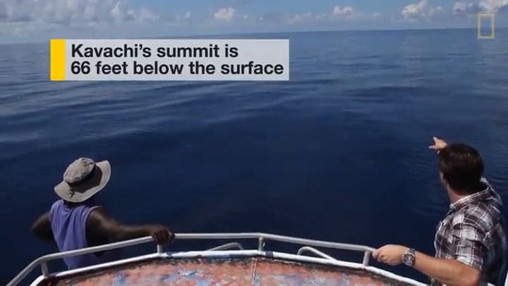 Descubrieron tiburones que viven dentro de un volcán submarino activo