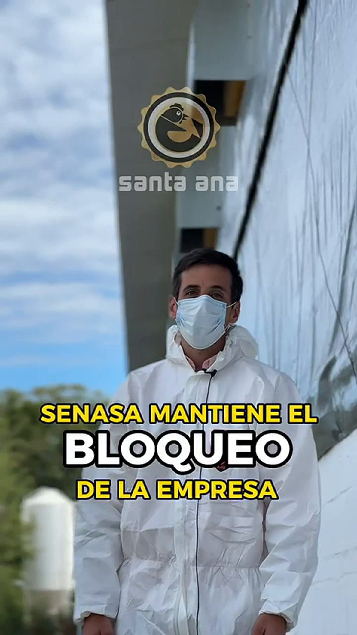 El video de la avícola que explica por qué tiró 360.000 huevos