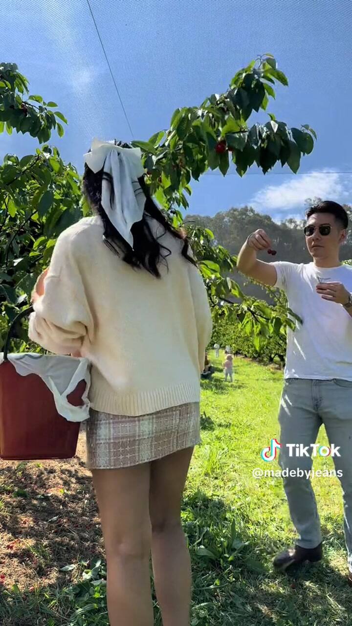 Cómo es la planta de cereza