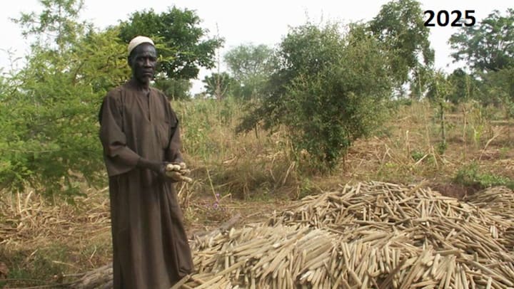 El antes y el después en la región del Zinder, Nigeria