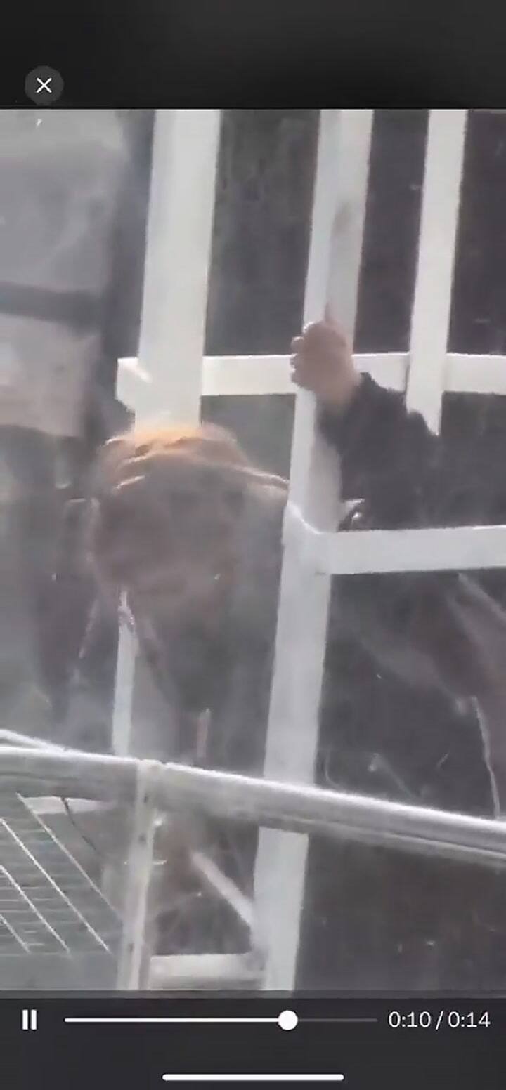 Una mujer accedió al balcón de la torre de control del Aeroparque Metropolitano Jorge Newbery