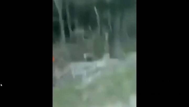 Fragmento que compartió un usuario de Reddit en el que tiene un extraño encuentro al lado de la ruta