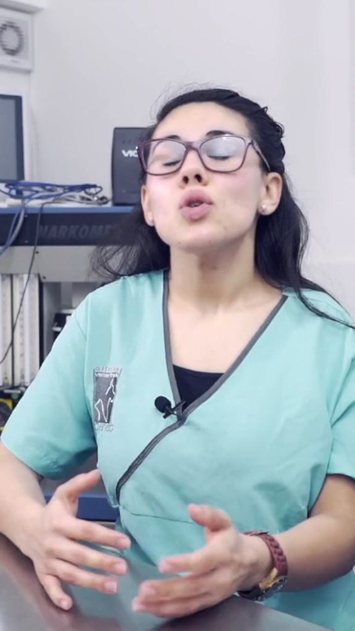 Ssstik.io 1705866318995