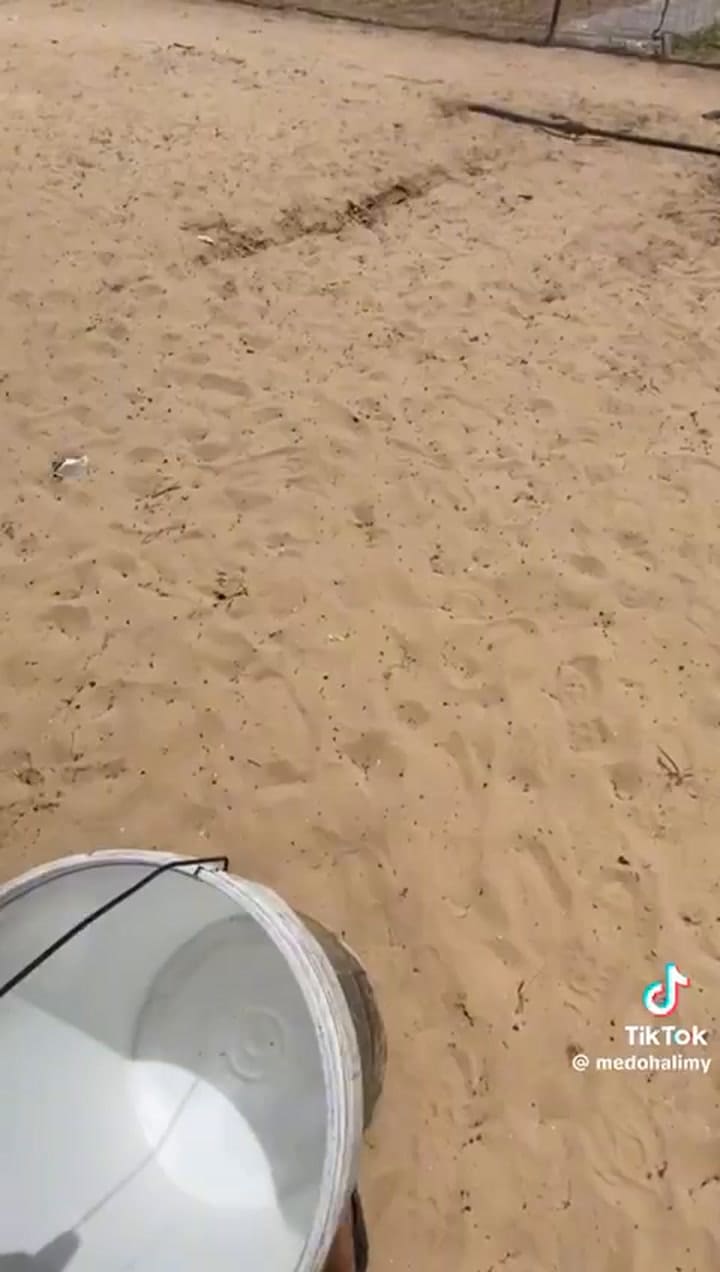 Un día en Gaza contado por un influencer palestino