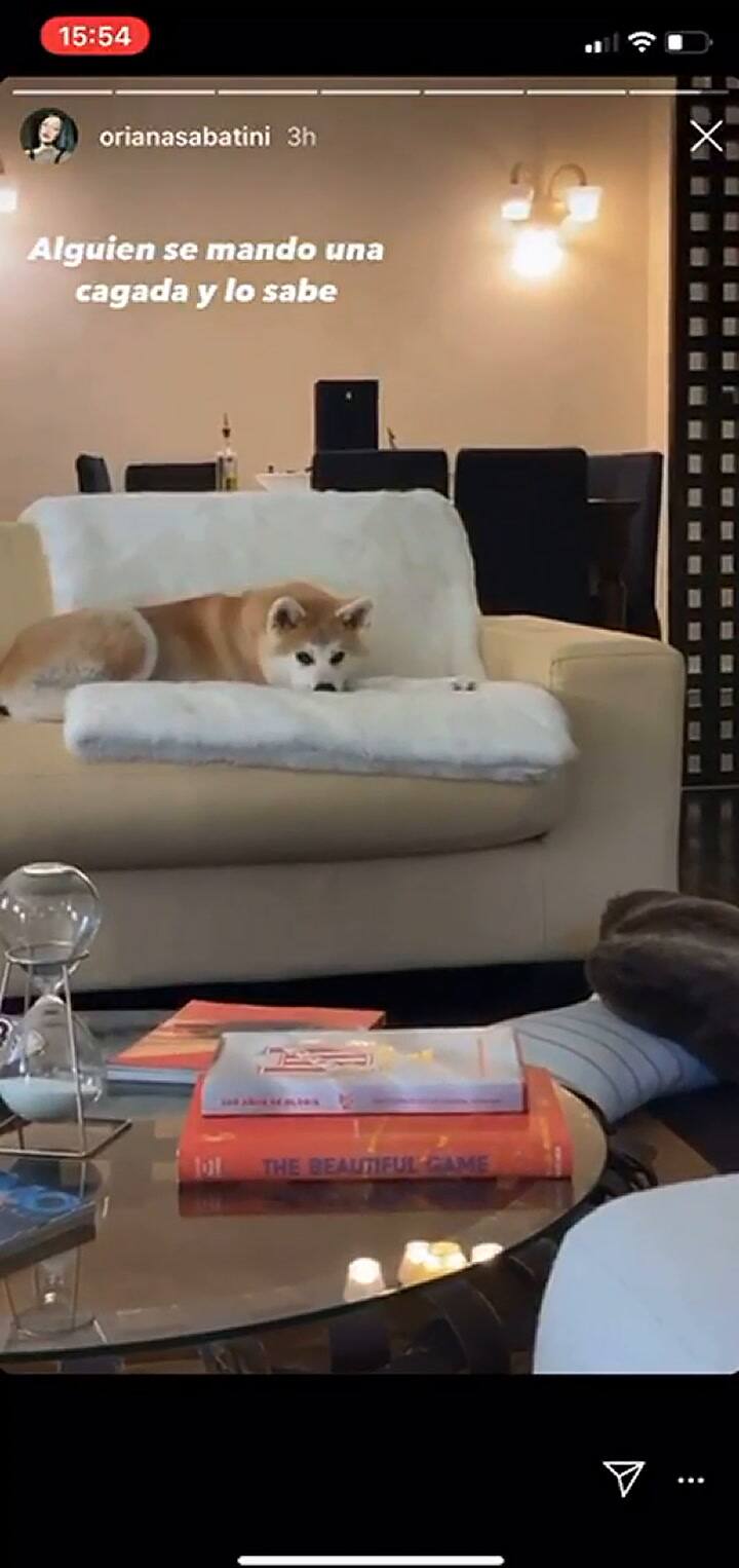 El divertido ‘reto’ de Paulo Dybala a su perra