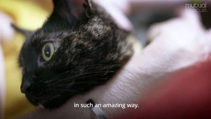 Rescate mutuo: Kylie y su gata, Liza