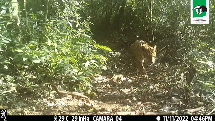 2022 Reserva Vida Silvestre Urugua-í Sendero