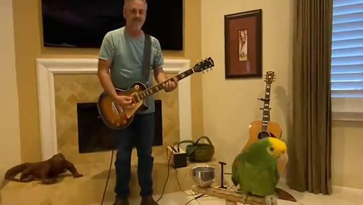 Start me up, Rolling Stones, interpretado por Tico & the man