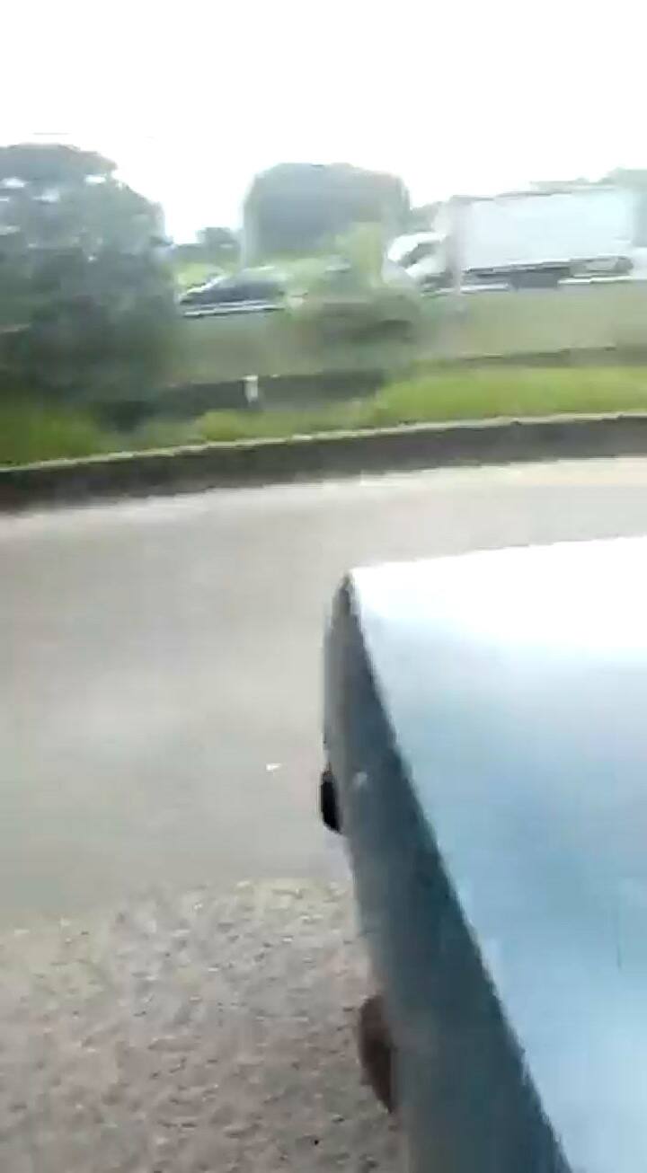 Una mujer fue agredida luego de denunciar maltrato animal