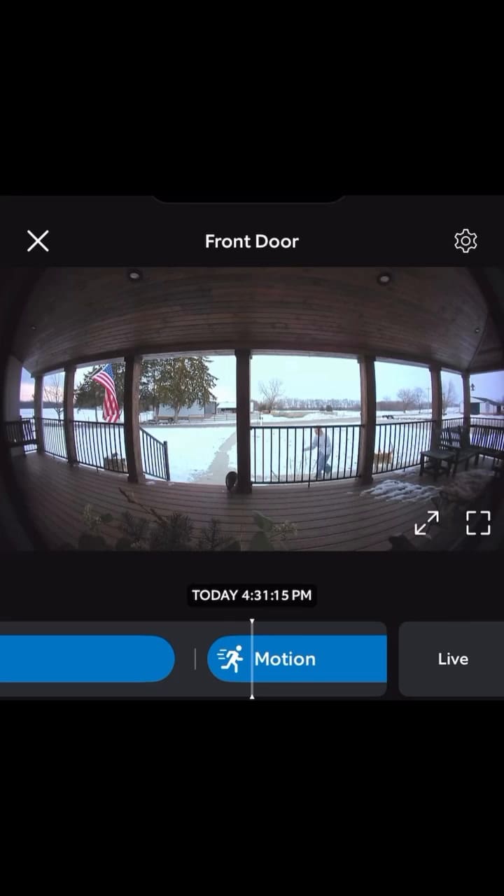 El emotivo reencuentro de una mujer con su gato tras seis semanas de estar perdido