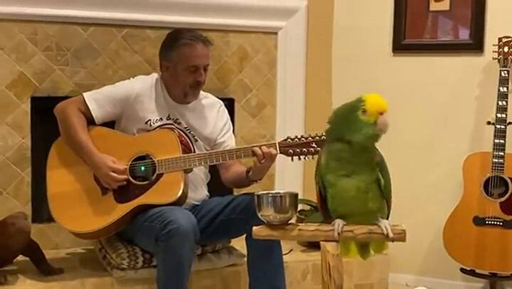 Starway to Heaven, Led Zeppelin, interpretado por Tico & The Man