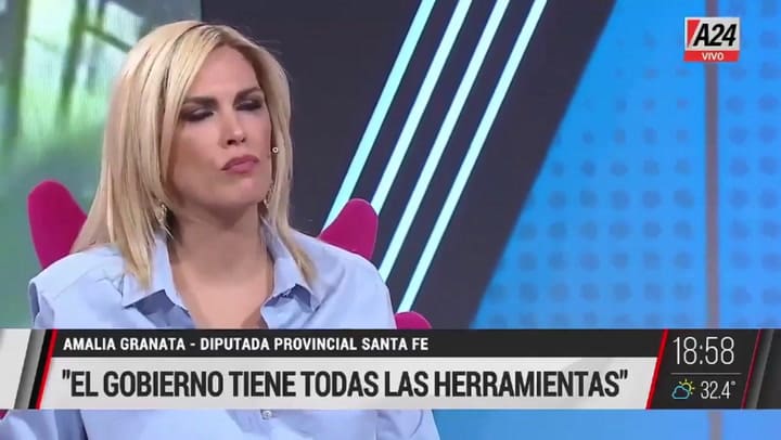 Viviana Canosa le hizo una pregunta a Amalia Granata y la respuesta la dejó sin palabras