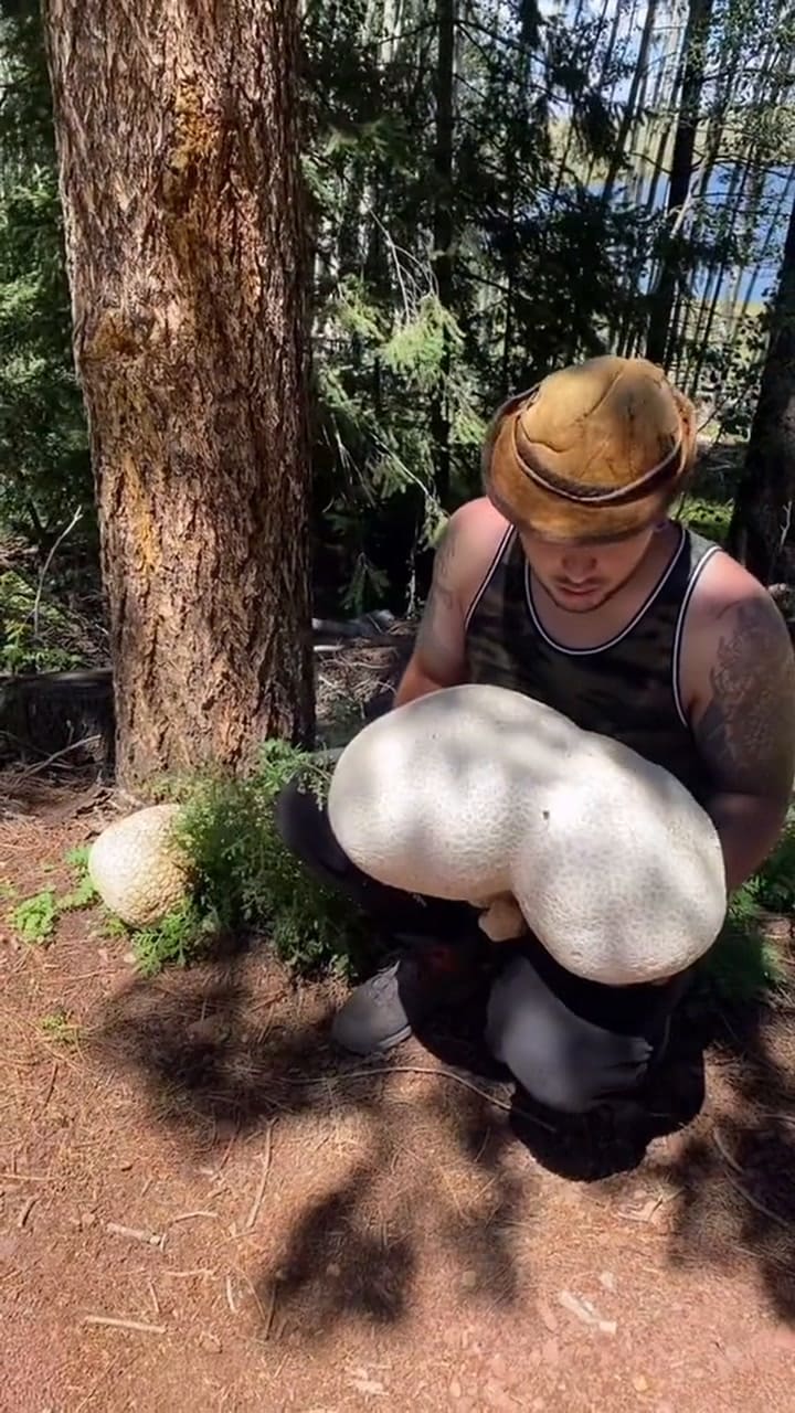 Hernán Castro es conocido como "el hombre de los hongos" en Tucson (TikTok @desertalchemist)