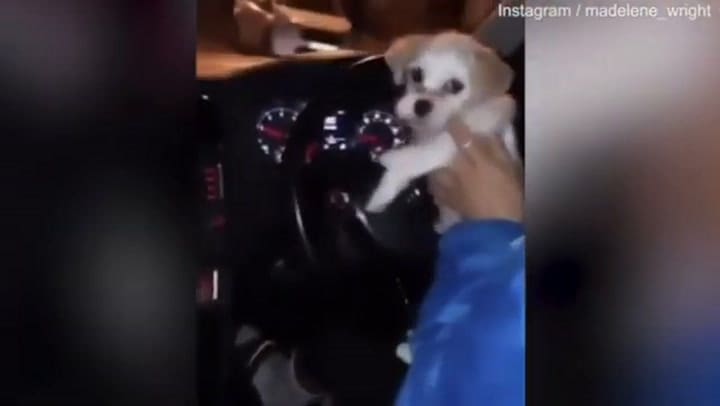 El polémico video que alejó a Madelene de las canchas