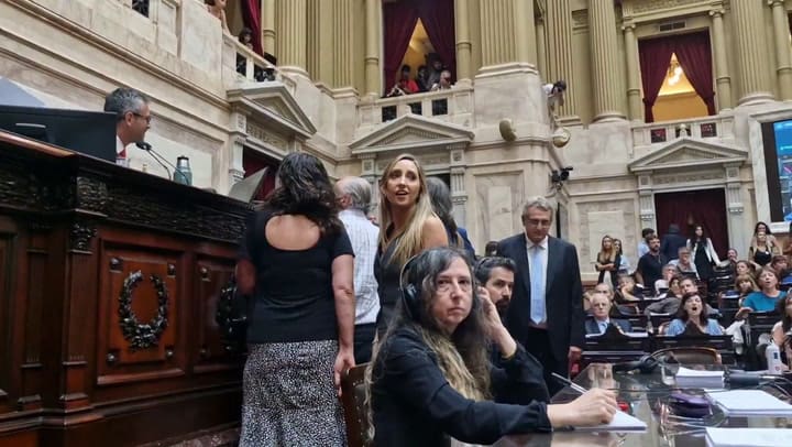 El momento en que la diputada Carignano desenchufa micrófonos para interrumpir la sesión