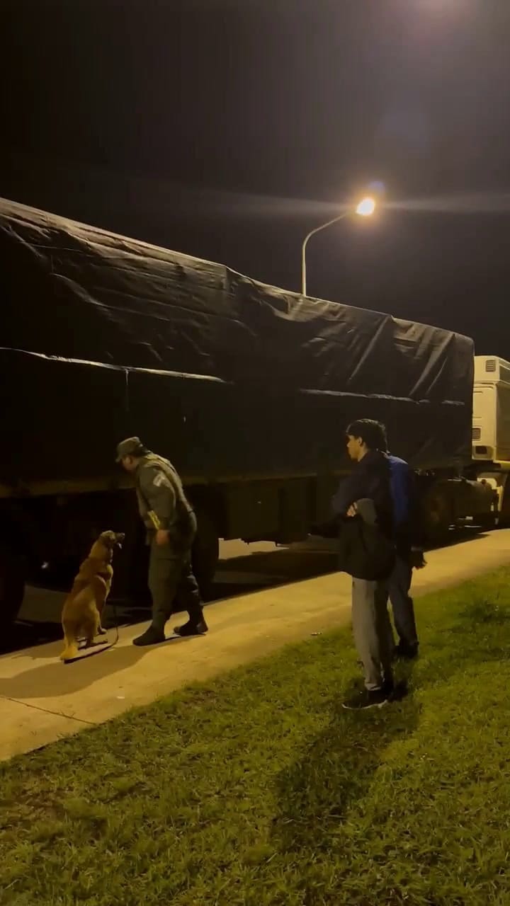 Secuestro de 2600 kilos de marihuana ocultos bajo tirantes de madera en Misiones