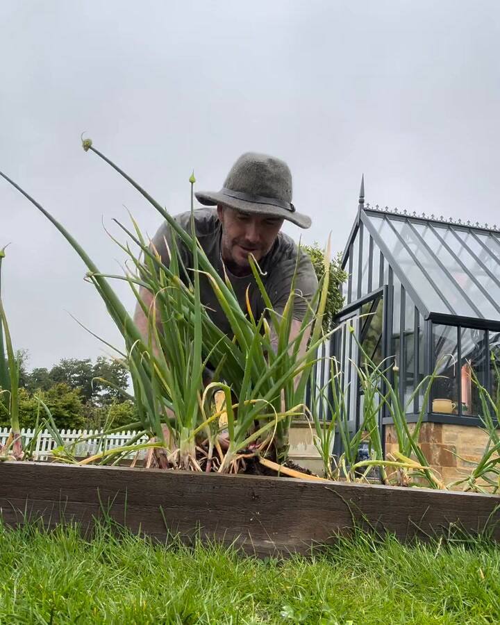 Hay Fever Kicking In A Little Tickle In The Throat But A Little Will Solve That... Looks Like @Victoriabeckham Has A Few Spring Onions For Lunch And Dinner For The Next Few Weeks How Am I Doing @Alantitchmar