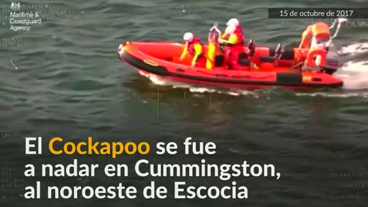 Guardia costera británica ayuda a rescatar perro perdido en el mar