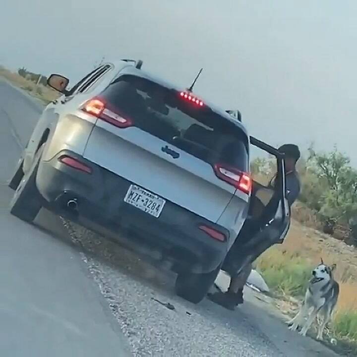 Abandonó un perro en la ruta, el video se volvió viral y lo detuvieron