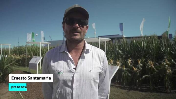 YPF AGRO - Ernesto Santamaria