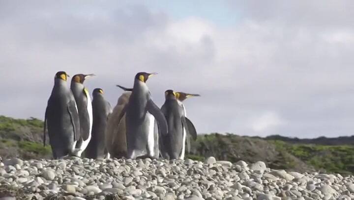 Argentina rompe su récord histórico en creación de Parques Nacionales