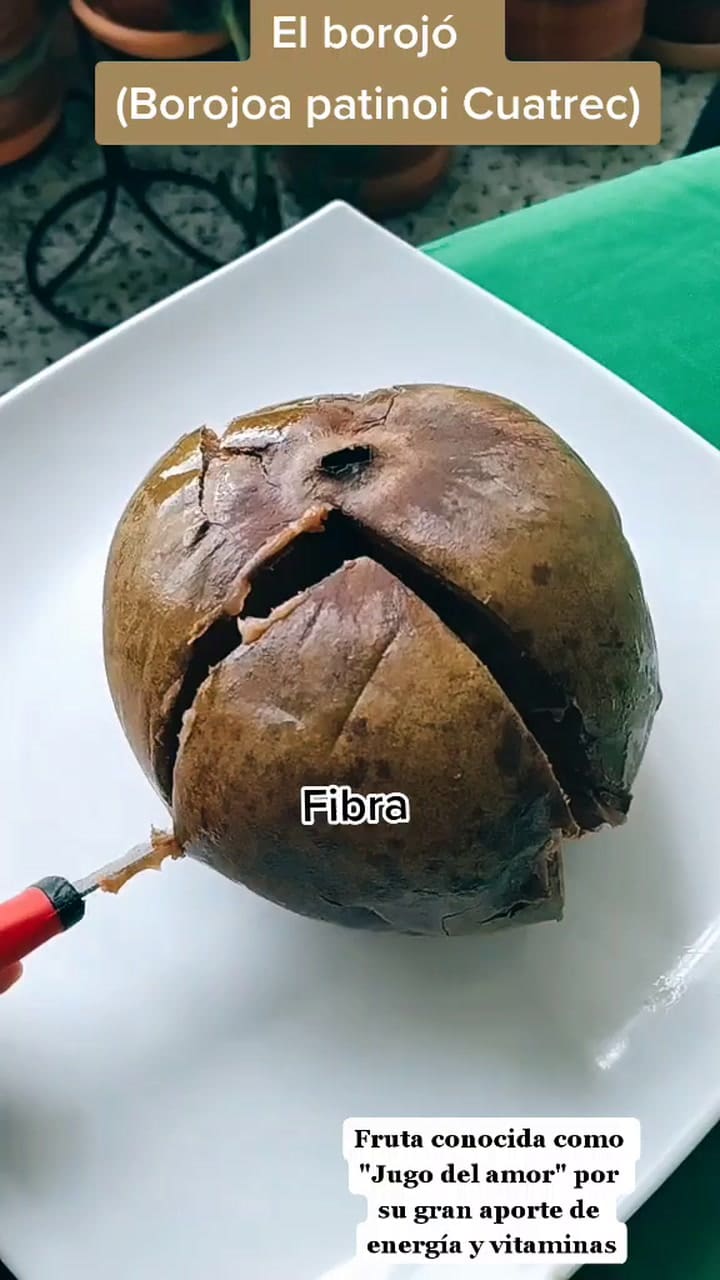 El Borojó Es Una Fruta Que Se Produce En Los Bosques Tropicales. Una De Las Propiedades Que Contiene Esta Fruta Es✅disminuye La Fatiga Durante El Ejercicio✅aporta Una Buena Porción De Fibra Dietética✅fortalece Hu