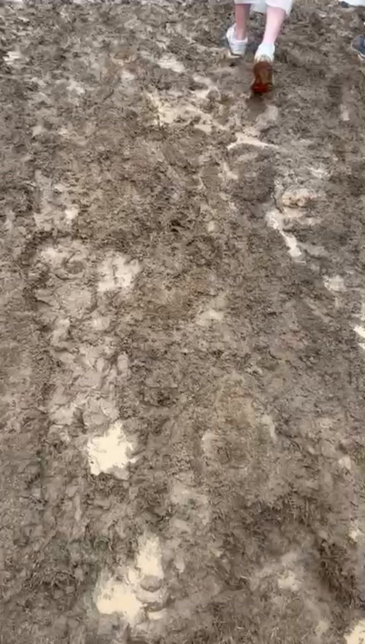 Espectadores argentinos en Interlagos Formula 1