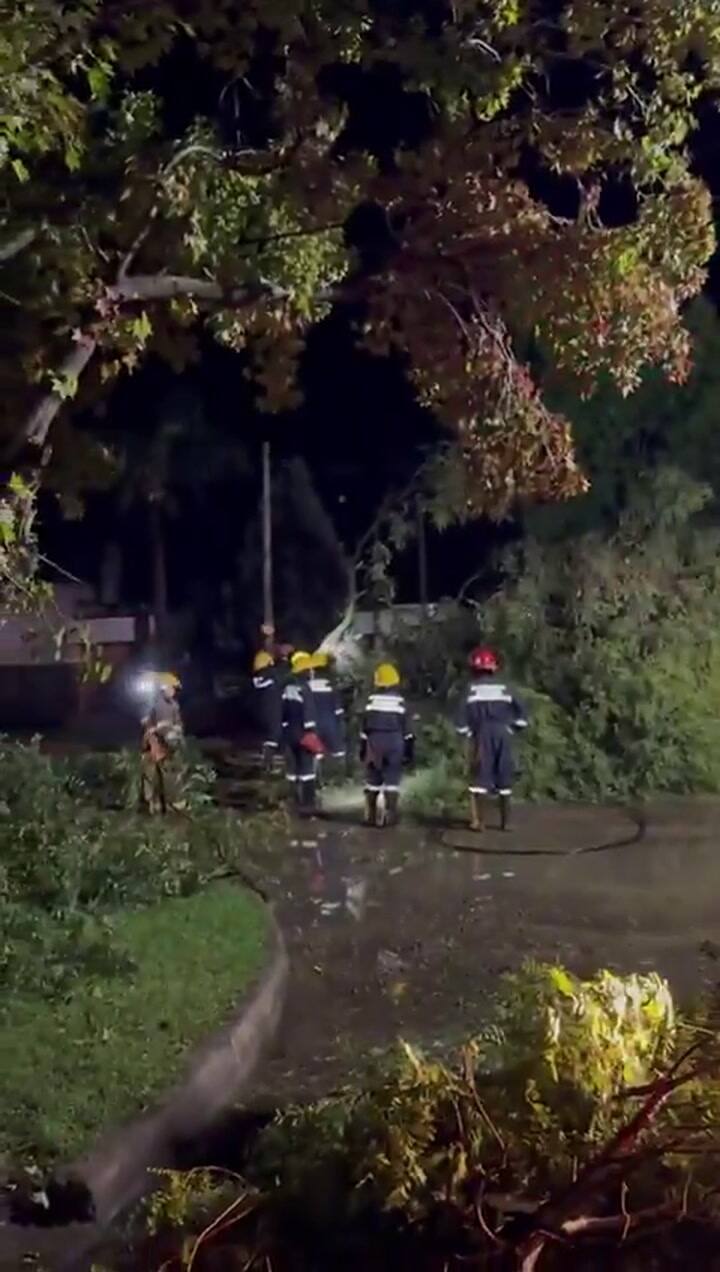 Los bomberos trabajan en Casilda tras el temporal