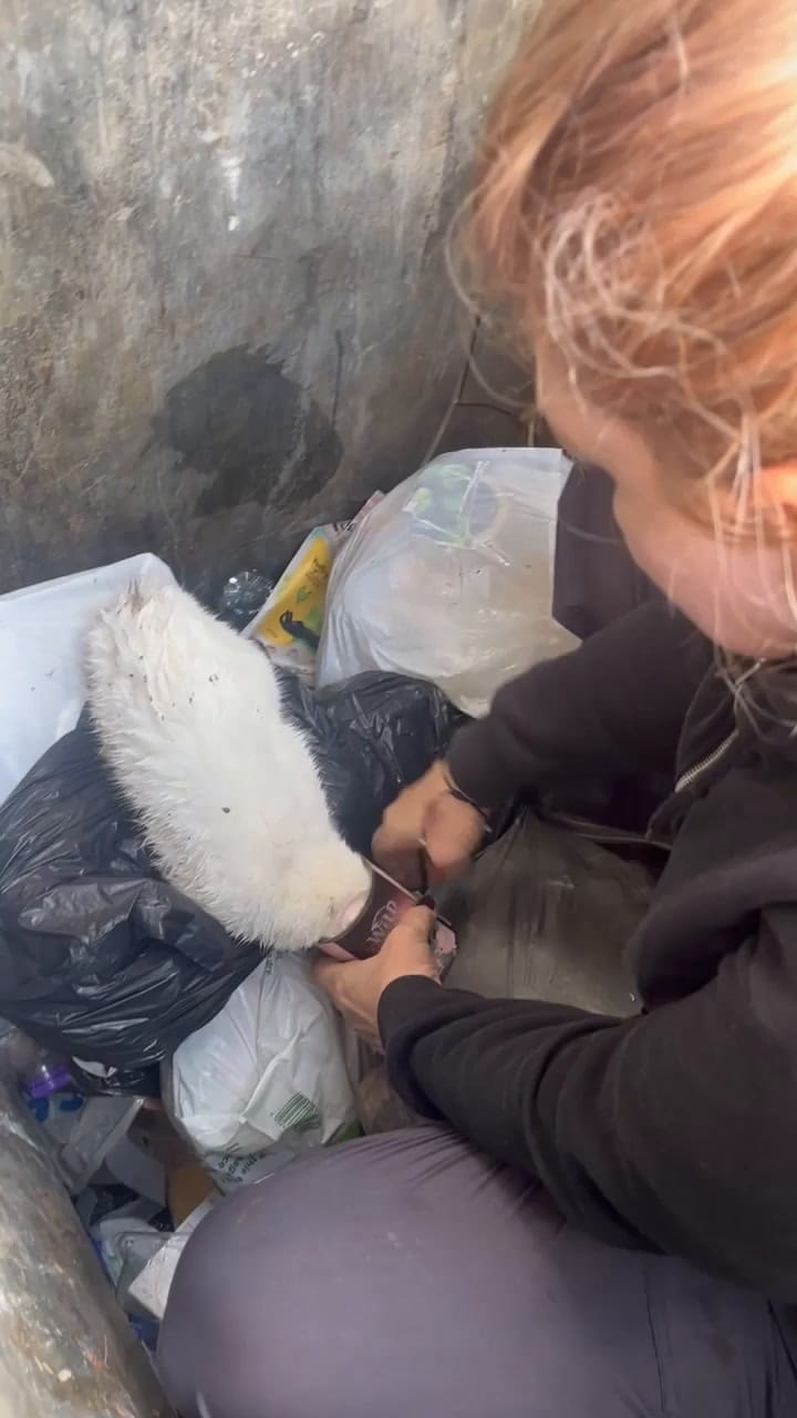 Angel’s Rescue + Her Now