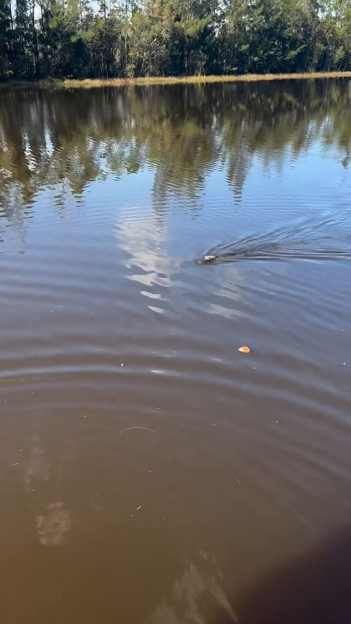 La Madre Del Rapero Avala La Relación