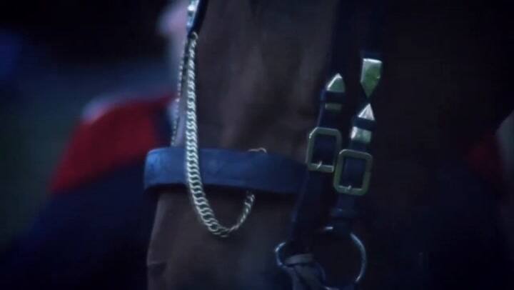 Buquebus - Homenaje Al Gral. San Martin